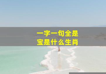 一字一句全是宝是什么生肖