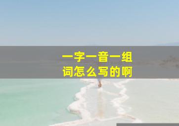 一字一音一组词怎么写的啊