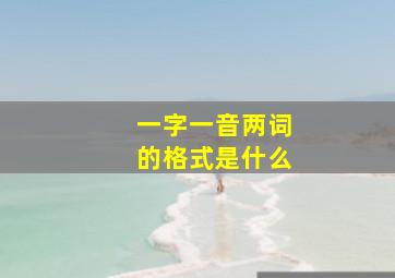 一字一音两词的格式是什么