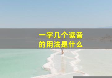 一字几个读音的用法是什么