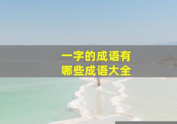 一字的成语有哪些成语大全