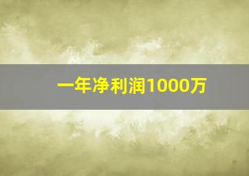 一年净利润1000万