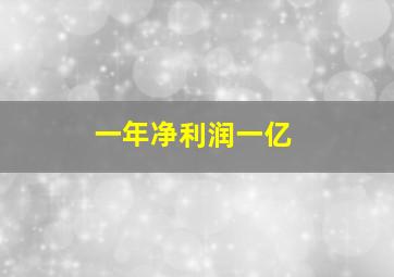 一年净利润一亿