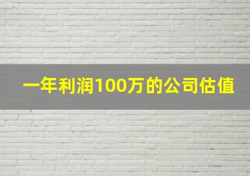 一年利润100万的公司估值