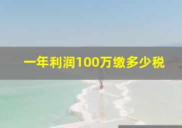 一年利润100万缴多少税