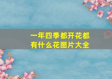 一年四季都开花都有什么花图片大全