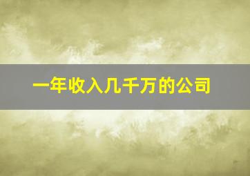 一年收入几千万的公司