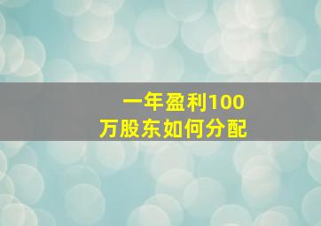 一年盈利100万股东如何分配