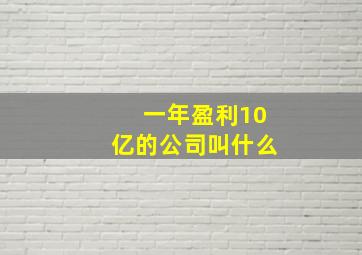 一年盈利10亿的公司叫什么