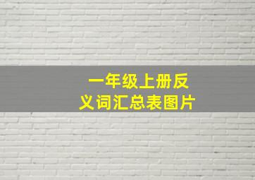 一年级上册反义词汇总表图片