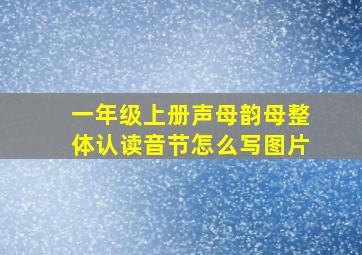 一年级上册声母韵母整体认读音节怎么写图片