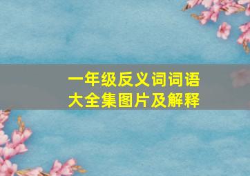 一年级反义词词语大全集图片及解释