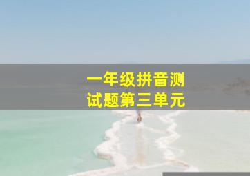 一年级拼音测试题第三单元