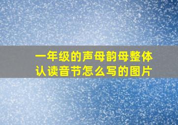 一年级的声母韵母整体认读音节怎么写的图片