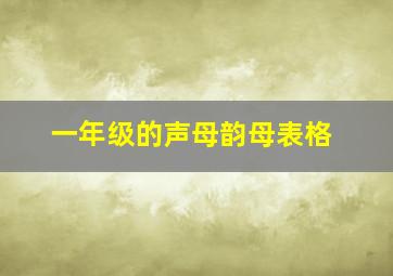 一年级的声母韵母表格