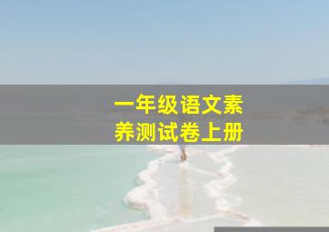 一年级语文素养测试卷上册