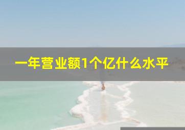 一年营业额1个亿什么水平