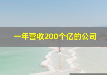 一年营收200个亿的公司