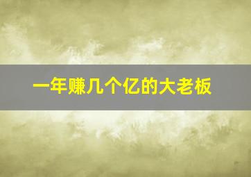 一年赚几个亿的大老板