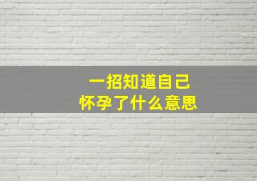 一招知道自己怀孕了什么意思