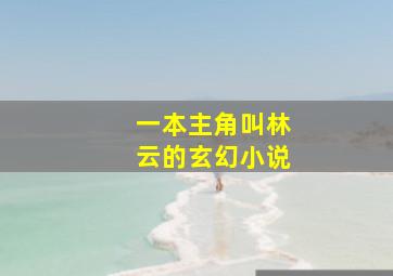 一本主角叫林云的玄幻小说