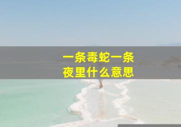 一条毒蛇一条夜里什么意思