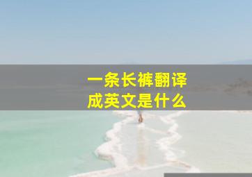 一条长裤翻译成英文是什么