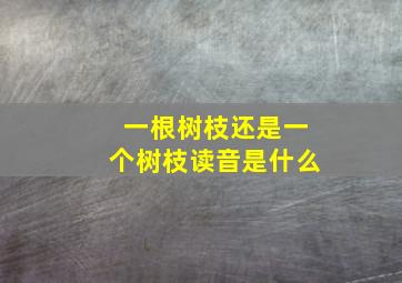 一根树枝还是一个树枝读音是什么