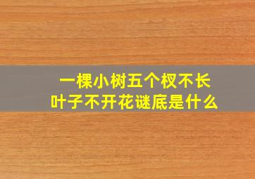 一棵小树五个杈不长叶子不开花谜底是什么