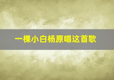 一棵小白杨原唱这首歌