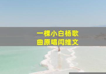 一棵小白杨歌曲原唱闫维文