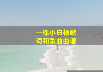 一棵小白杨歌词和歌曲曲谱