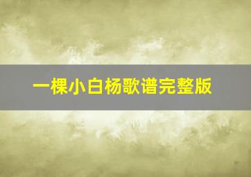 一棵小白杨歌谱完整版