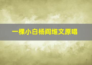 一棵小白杨阎维文原唱