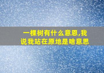 一棵树有什么意恩,我说我站在原地是啥意思