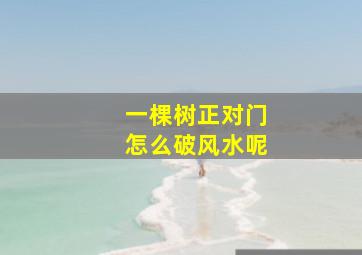 一棵树正对门怎么破风水呢