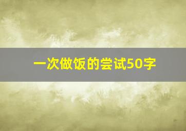 一次做饭的尝试50字