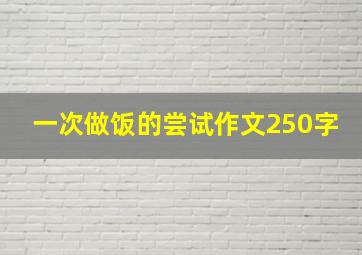 一次做饭的尝试作文250字