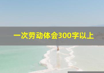 一次劳动体会300字以上