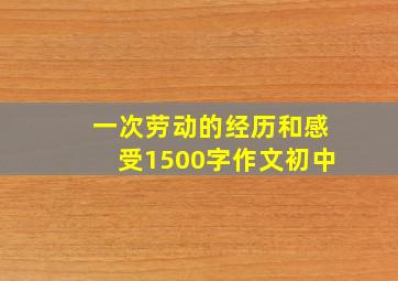 一次劳动的经历和感受1500字作文初中