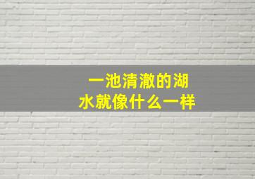 一池清澈的湖水就像什么一样