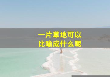 一片草地可以比喻成什么呢