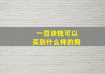 一百块钱可以买到什么样的狗