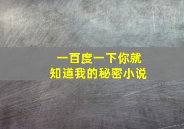 一百度一下你就知道我的秘密小说