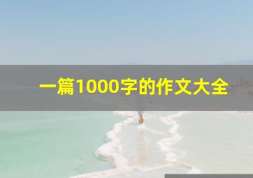 一篇1000字的作文大全