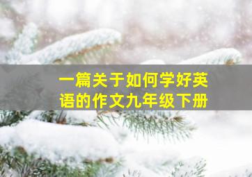 一篇关于如何学好英语的作文九年级下册