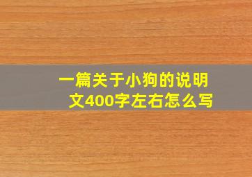 一篇关于小狗的说明文400字左右怎么写