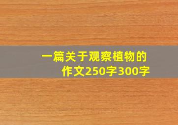 一篇关于观察植物的作文250字300字