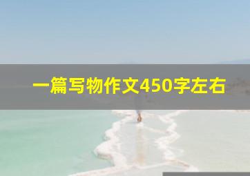 一篇写物作文450字左右