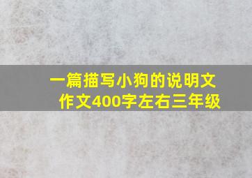 一篇描写小狗的说明文作文400字左右三年级